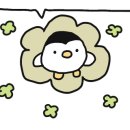 미포유 이미지