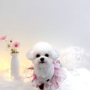 코코목욕 이미지