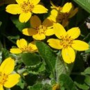 오공농장 이미지