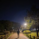 전동 31-3 공영주차장 | 경주 대릉원 공영주차장 주차 꿀팁 미추왕릉 이야기부터 국가유산 방문코스 92번