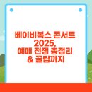 계양푸른솔지역아동센터 | 베이비복스 콘서트 2025, 예매 전쟁 총정리 &amp; 꿀팁까지