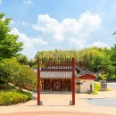 죽림 이미지