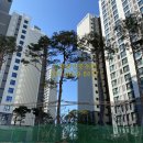 찬양공인중개사사무소 이미지