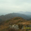 일출 난 농원 이미지