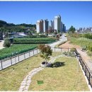 폴앤도기 이미지