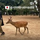 일중 | 오사카 나라공원 코스추천｜사슴공원 가는방법 후기