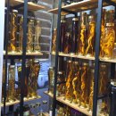 길본참치 | 대구 수성못 참치 맛집 길본참치 스페셜세트 내돈내산 후기