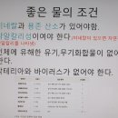 오드리 독 이미지