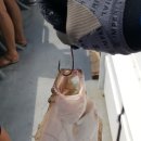 대붕펜션 이미지