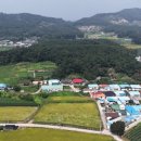 여주도깨비터공인중개사사무소 이미지