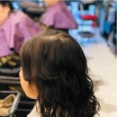 영's헤어 이미지