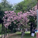 성산패총유물전시관 이미지