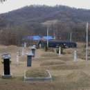 강지선생묘 이미지