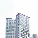 서구-01-41 이미지