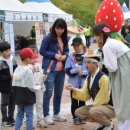 담양보부상