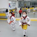 경희대사랑인태권도 네이버블로그