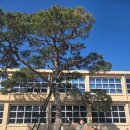 지수관광테마마을 승산에부자한옥 | 지수 승산부자마을 &amp; K-기업가정신센터 방문 후기