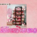 매니아 인형방 마이데일리