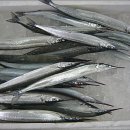 수산물직판장(5호) 이미지