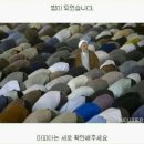 피터캣 - 마포구 백범로2길 21 | 피터캣