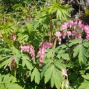 방축골농장 이미지