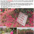 서광여행사 - 수원시 권선구 세권로 109 | 서광여행사