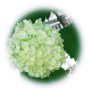 더영규공인번역행정사 이미지