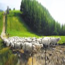 산월목장 이미지