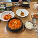 드디어 봄