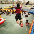 바다야놀자 이미지