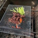 금화정육점 - 철원군 와수로 177-1 | 금화정육점