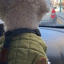 광성펜션 1 이미지