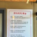 윤남희맛집코다리 이미지