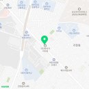 카멜레온 디테일 이미지