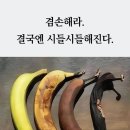 부모곡 이미지