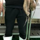 목포성우농수산