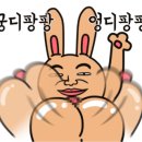 토탈건강속옷