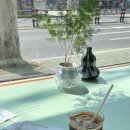 용강동물병원 이미지