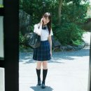 에리카