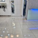 세종동물병원 | 앵무새 동물병원 세종동물의료센터 후기