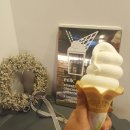 [대구 맛집]대구 동성로 카페 어콧 (A.COT) 다녀온 후기