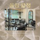 합정역미용실 _ 올랑헤어 민성원장님께 남자 컷트+다운펌 받은 후기