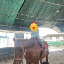 대경목장 이미지