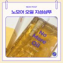 (주)위드공감 | [위드비컨] 지성샴푸 내돈내산 추천 :: 노 모어 오일 샴푸, 밤 되면 떡지는 머리가 고민이라면