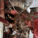 마동주공2 이미지