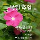 예수그리스도의 프로포즈를 받으세요~ 이미지