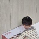 호르메 피규어 비교 내돈내산 동물1 세트 팝업스토어 방문후기