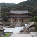 고싸움로 이미지