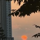 쭈퐁 | [가양 맛집] 쭈꾸미 맛집 ”쭈퐁“ 후기 + 빼빼로데이🍭