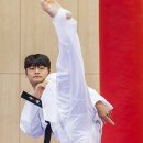 올림픽태권도 이미지